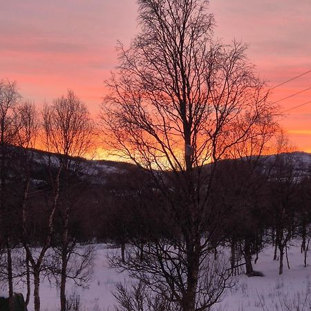 Utsikten Feriehus I Bakkeby Exteriör bild